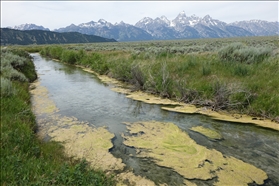 Grand Teton NP